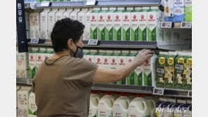 우윳값 1ℓ 3000원대로 오를 듯…빵·버터 등 줄인상 전망