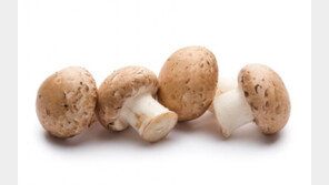 면역력은 키우고, 콜레스테롤은 낮추고…‘버섯’의 효능