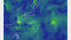 태풍 무이파, 中 동해안 상륙…상하이 공항 여객기 모두 취소