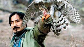 “이사동 민속마을에서 매사냥 체험하세요”