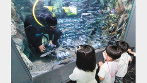 신기한 와인 숙성