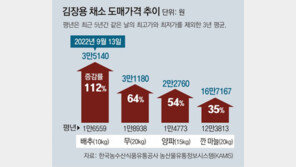 “金배추에 김치없는 밥상”… 양배추로 김치 담그기도 