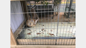 [단독]동물원 멸종위기종 77%, 질병-사고로 폐사