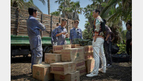 외교부 “수리남 공식 항의 아직 없어…교민 안전 주시”