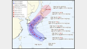 ‘태풍 난마돌’ 19일 새벽 제주 해상 지난다…대비 태세 돌입