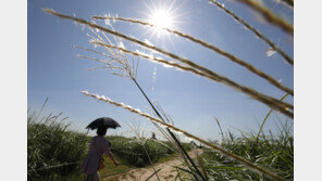 때 아닌 폭염주의보…평택·안성시 오전 11시 낮 최고 31도