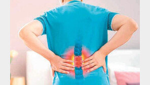 무심코 넘기면 만성 요통…“허리 건강, 이렇게 지키세요”