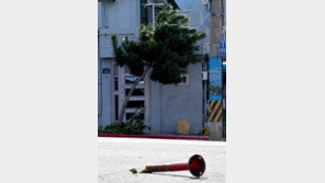 태풍 작업 중 숨진 공공근로자, 구청 상대 손배 패소…유족 “말도 안 돼”