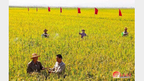 미국 농무부 “올해 북한 주민 10명 중 7명 식량부족”