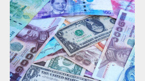 월급 70만원 대신 2억2천 입금…직원 홀연히 사라졌다