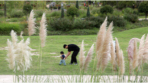 [날씨]태풍 가면 아침기온 10도대 선선…당분간 비소식 없어