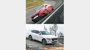 42도 경사 - 60cm 수심 ‘질주’… 정의선의 ‘극한 실험’ 