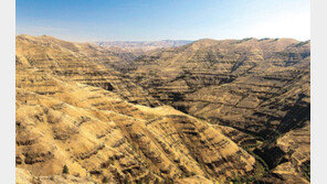美연구팀 “공룡 멸종, 화산 폭발이 원인” 소행성 충돌설 반박 
