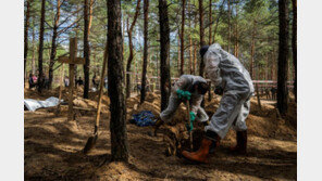 “우크라 이줌 숲, 악취 진동… 곳곳 손 묶인채 팔다리 부러진 시신”