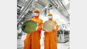 “네-카보다 삼성전자-하이닉스 갈래”… 취업 최선호 업종 뒤집혔다