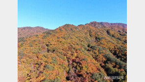 가을 단풍철 앞두고 국립공원 ‘탐방로 예약제’ 시작