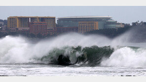 ‘기차 탈선’ 위력 난마돌 근접…부산-포항 등 강풍에 많은 비