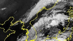‘난마돌’ 日규슈 상륙… 19만 가구 정전, 800만 명 대피령