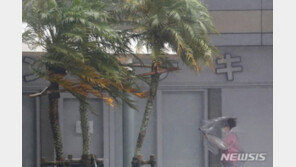 태풍 난마돌로 日, 901만 가구 피난…강풍에 43명 부상