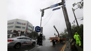 힌남노 땐 380㎜ 폭우, 난마돌은 강풍 집중, 왜?…이유는 3가지