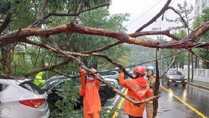 신호등 ‘콰직’ 화물차 덮개 ‘훌렁’…강풍 피해 속출