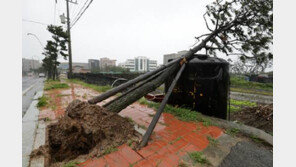 낚시객 파도에 휩쓸리고 담벼락 무너지고…남부 ‘난마돌’ 피해 속출