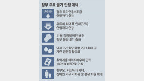 물가잡기 비상 걸린 정부 “식품업계, 가격인상 최소화를” 경고