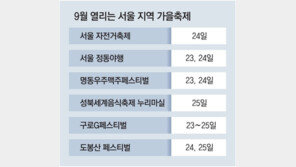 자전거 즐기고 맥주 시음… 정동길 夜行도