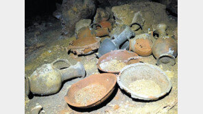 공원 바위 옮기다 3300년前 매장동굴 발견