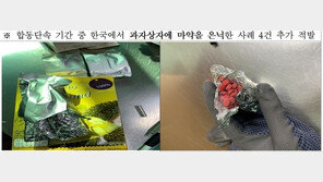 국내 들여오려던 392만명분 마약 적발…관세청, 태국과 4개월 합동단속