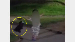 어린이가 강아지 목줄 잡고 ‘요요 놀이’…부모는 “학대 아니다”