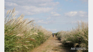 내일 맑고 선선한 가을 날씨…서울 아침 기온 14도