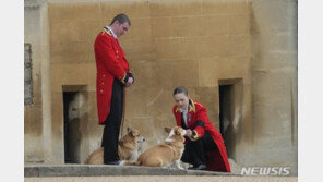 “잘가요, 엘리자베스”…여왕이 사랑했던 반려동물들도 마지막 인사