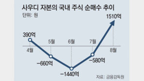 ‘큰손’ 사우디 국부펀드, 스타트업 찾으러 서울 왔다