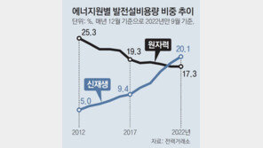 신재생 발전설비 20% 돌파… 전력량은 8.3% 그쳐