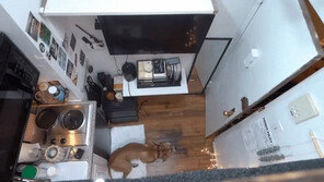 ‘월세 90만원’ 뉴욕 2.2평 아파트…“소파서 손 뻗으면 싱크대”