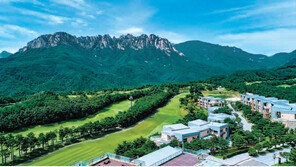 럭셔리 서비스 특화 멤버십 리뉴얼