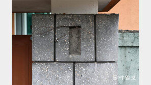 [고양이 눈]문패 없는 집