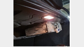 車트렁크에 골드바 숨긴 체납자…지인 계좌로 수임료 받은 변호사