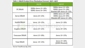 “4분기 D램 가격 13~18% 하락 전망…수요 부진·과잉 재고 계속”