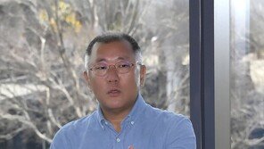 정의선 현대차 회장, 다시 미국 출장…IRA 해법 모색