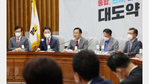 與 “당력 집중 외교활동 폄훼 정당사에 없는 일…비방 삼가야”