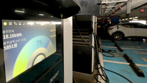 내년 전기차 보조금 1대당 600만→500만원…재정사업 손질