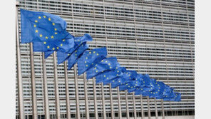 러 엑소더스에 유럽, 망명 수용 ‘분분’…EU “공동 입장 논의 중”