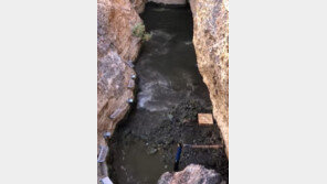 멕시코 강진에 2400km 떨어진 美데스밸리서 1.2m ‘사막 쓰나미’