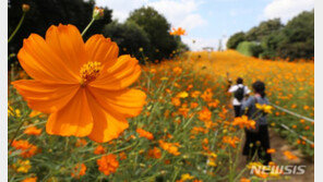 토요일 대체로 맑아…아침 기온 10도 이하로 ‘뚝’