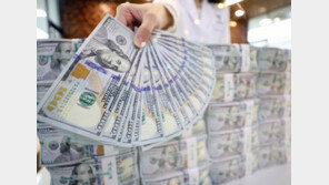 ‘킹달러’에 ‘짠 내’ 나는 유학생활…“외식 안 하고 알바로 버텨”