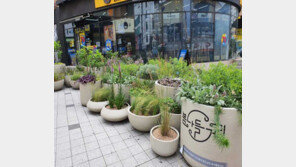 춘천 원도심 상권르네상스 사업단 “70여년 전통 상권의 재생과 혁신 동시에 이룰 것”