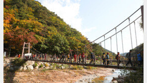 붉은 옷 갈아입기 시작한 설악산 등 강원 국립공원에 2만2000명 인파