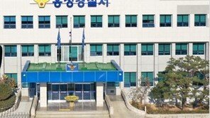 홍성 서부면 상황교 하천둑 실탄 7발 발견…군·경 합동 조사